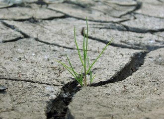 by pixabay user NMueller