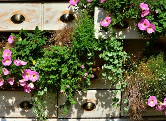 by pixabay user congerdesign